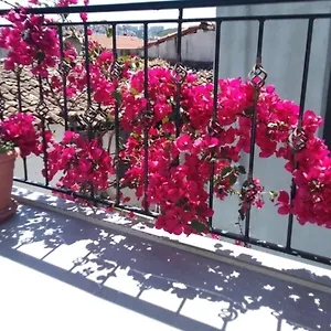 https://casa-magnolia-boutique-rooms.aegeanhotels.net